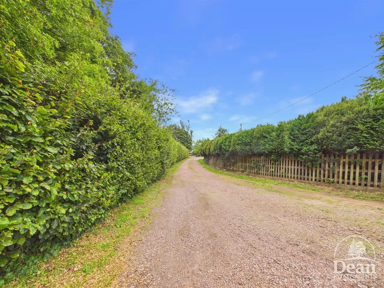 Bullo Pill, Newnham, GL14, photo 42