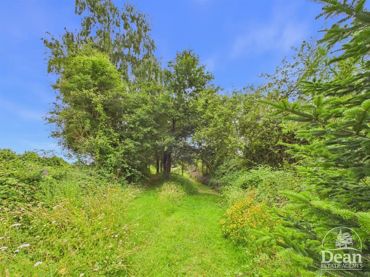 Bullo Pill, Newnham, GL14, photo 38