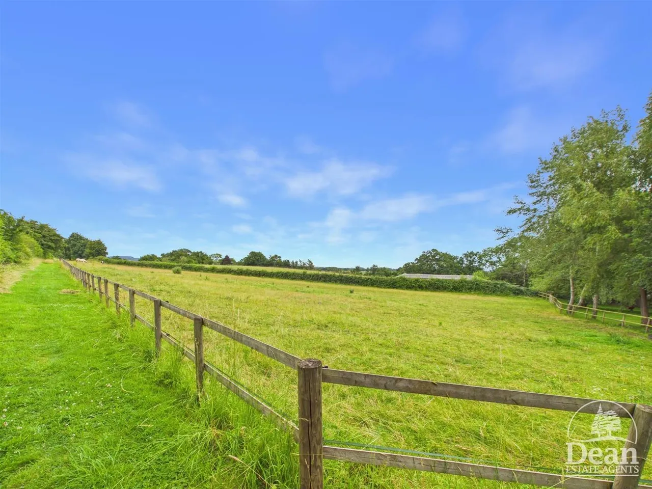Bullo Pill, Newnham, GL14, photo 36