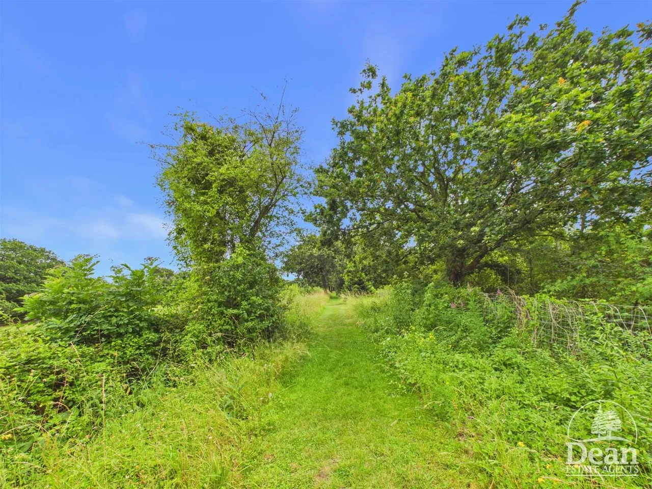 Bullo Pill, Newnham, GL14, photo 41