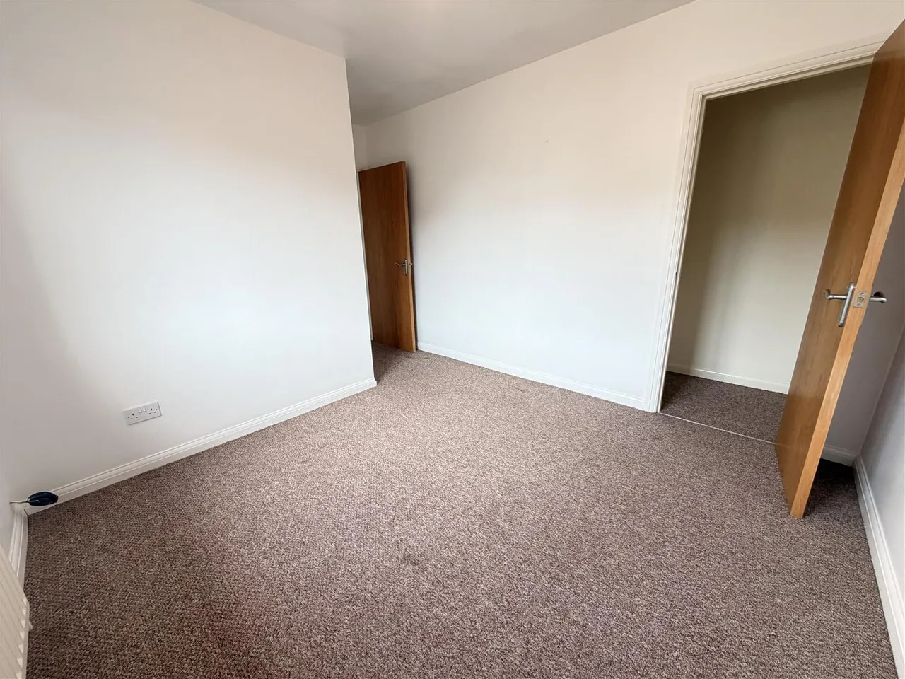 Bartleys Wood, Ballywalter, BT22, photo 7