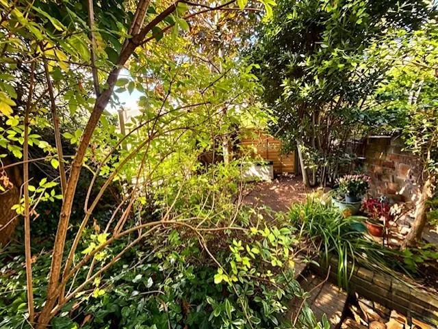 Enys Road, Eastbourne, BN21, photo 34