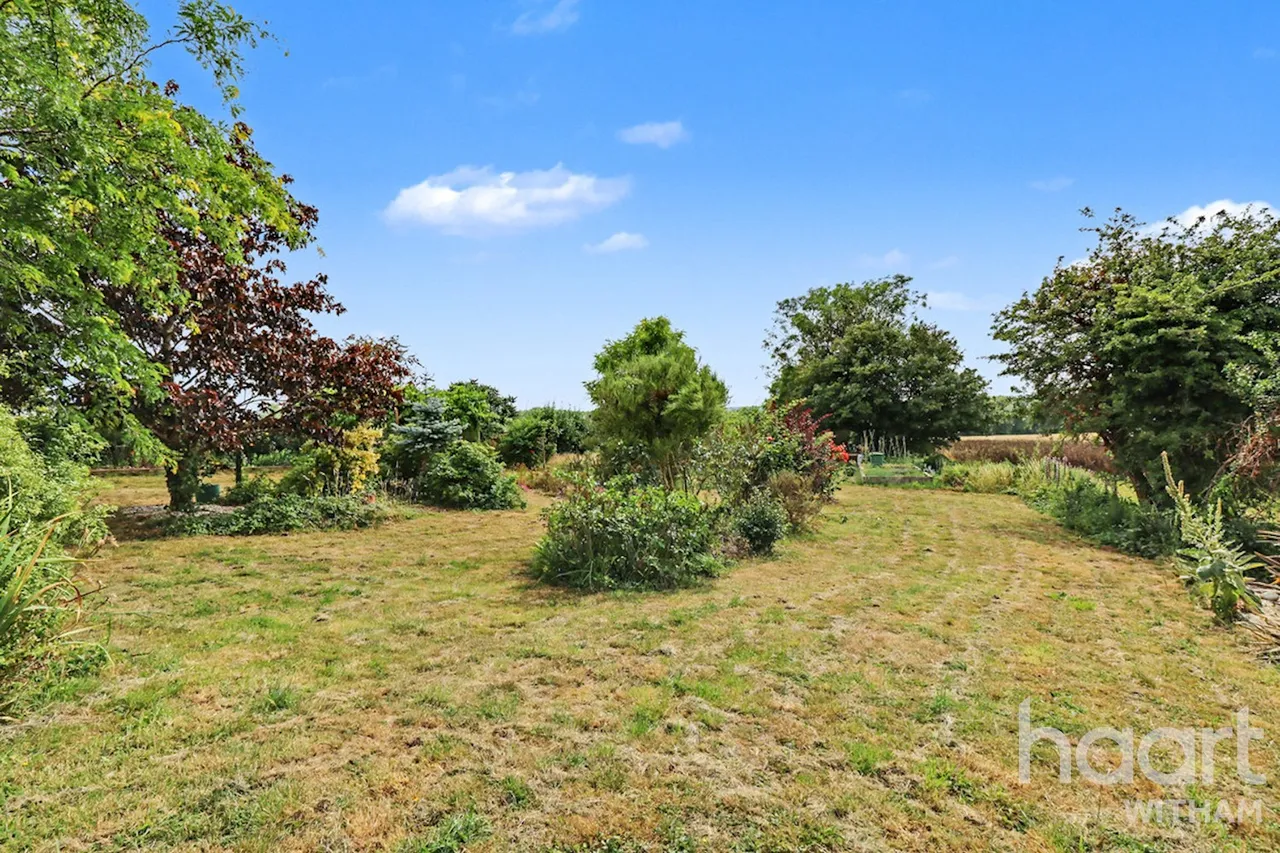 Langford Road, Wickham Bishops, CM8, photo 19