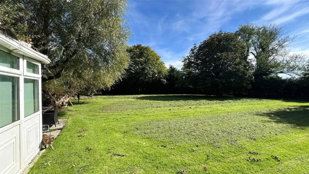 Beaworthy, EX21, photo 33