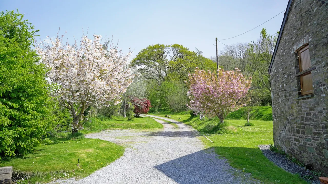 Llanybri, Carmarthen, SA33, photo 16