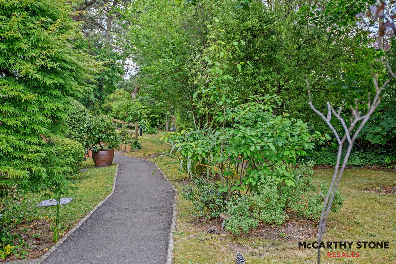 Ringwood Road, Ferndown, BH22, photo 16