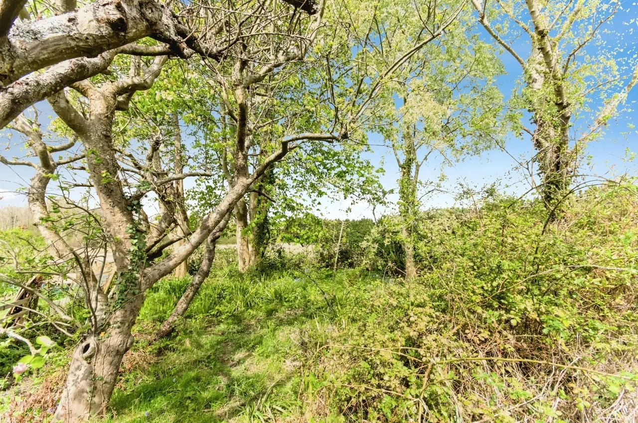 Shrub Lane, Burwash, TN19, photo 15