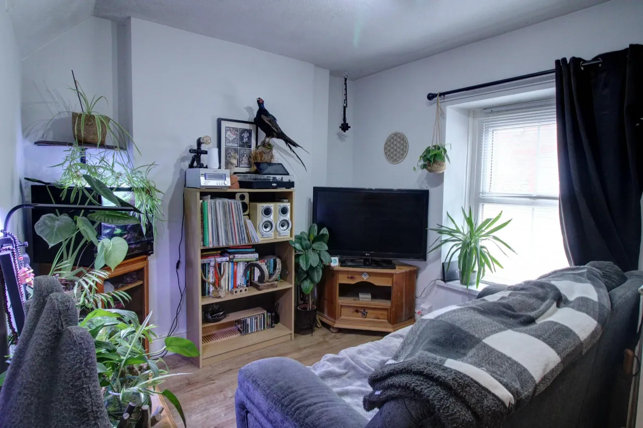 Plasycoed Road, Pontypool, NP4, photo 2