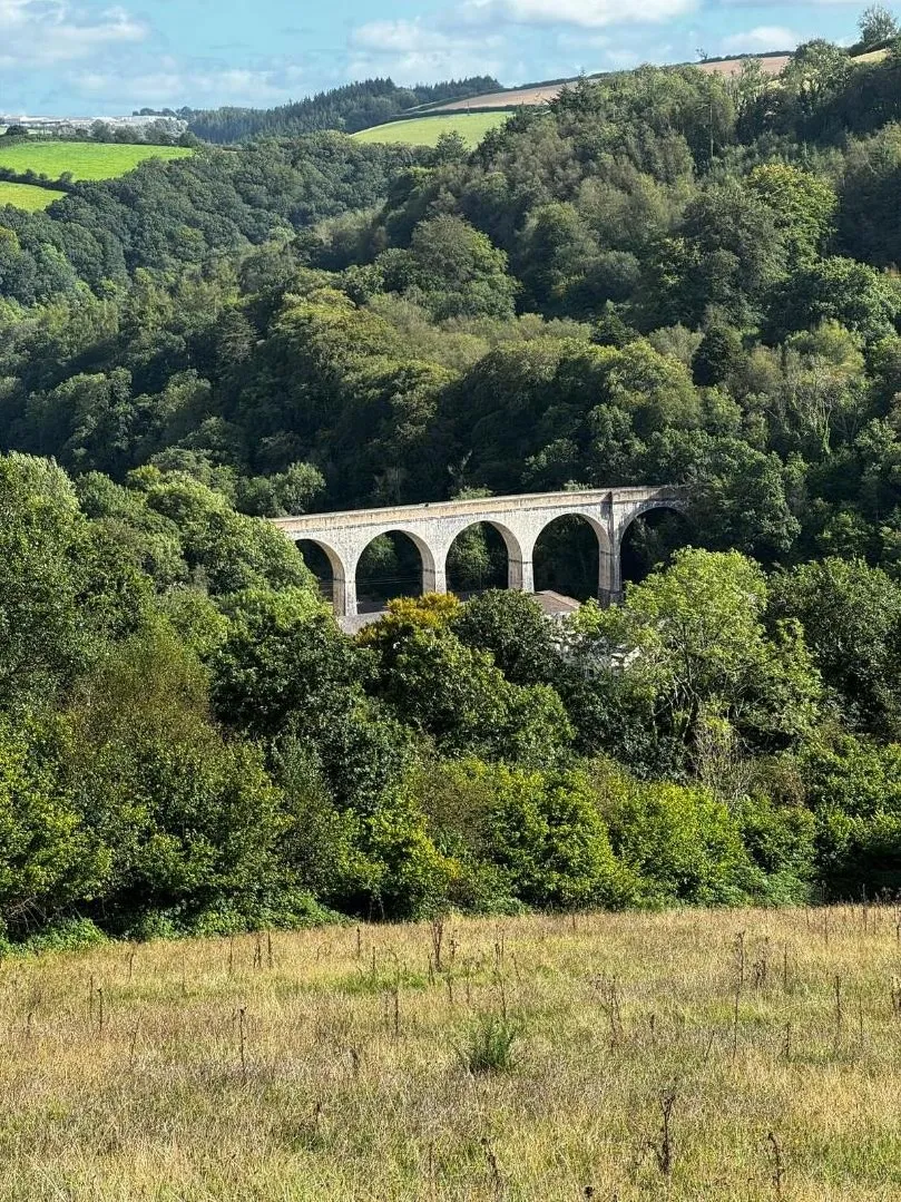 Chelfham Mill, Chelfham, photo 10