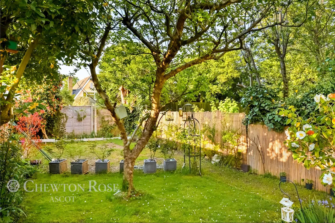 London Road, Ascot, photo 19