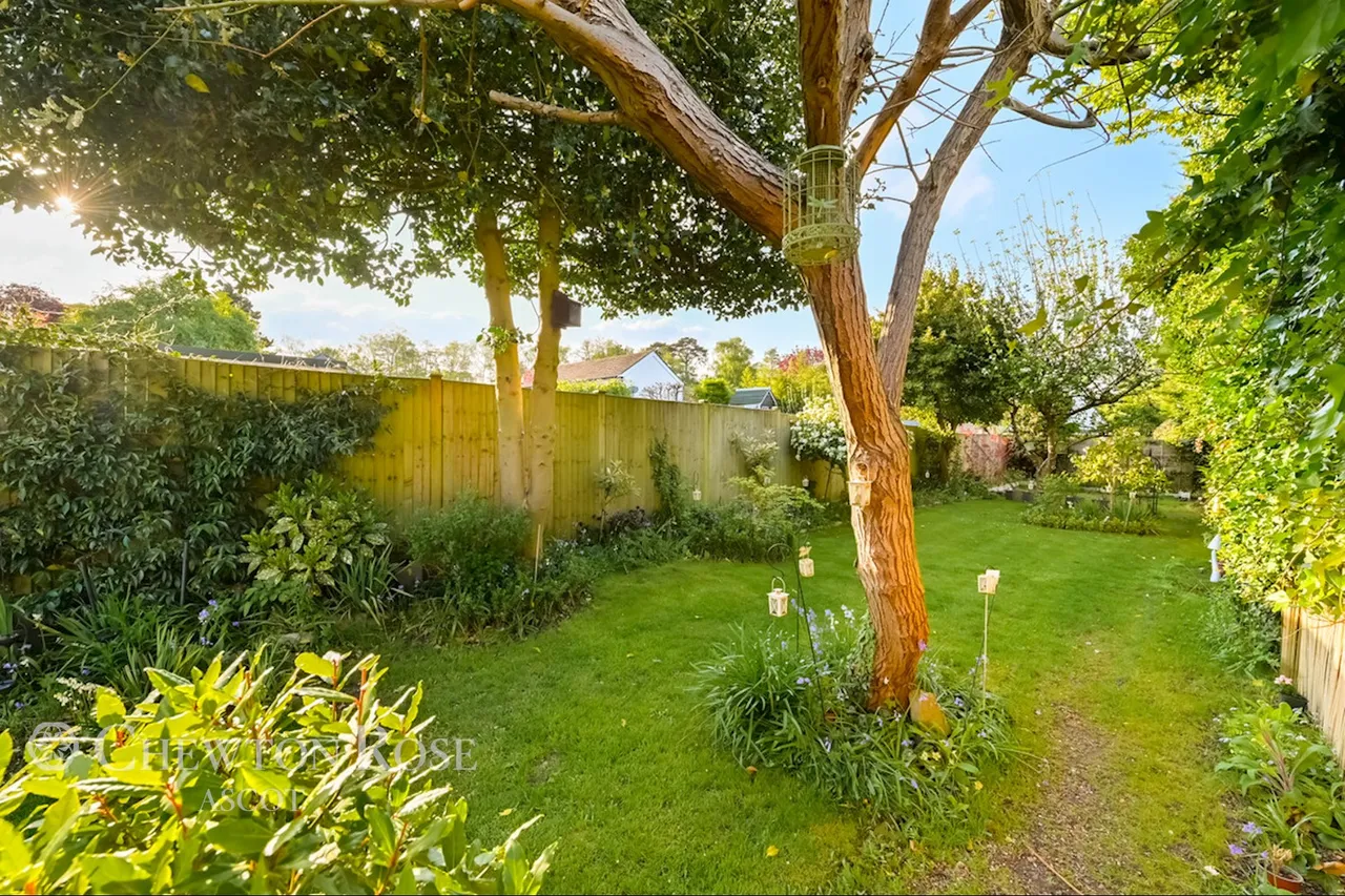London Road, Ascot, photo 18