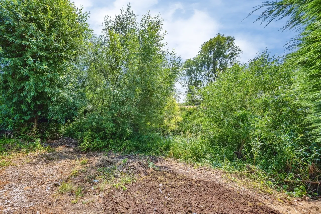 The Bungalow, Tamworth, Staffordshire, B79, photo 12