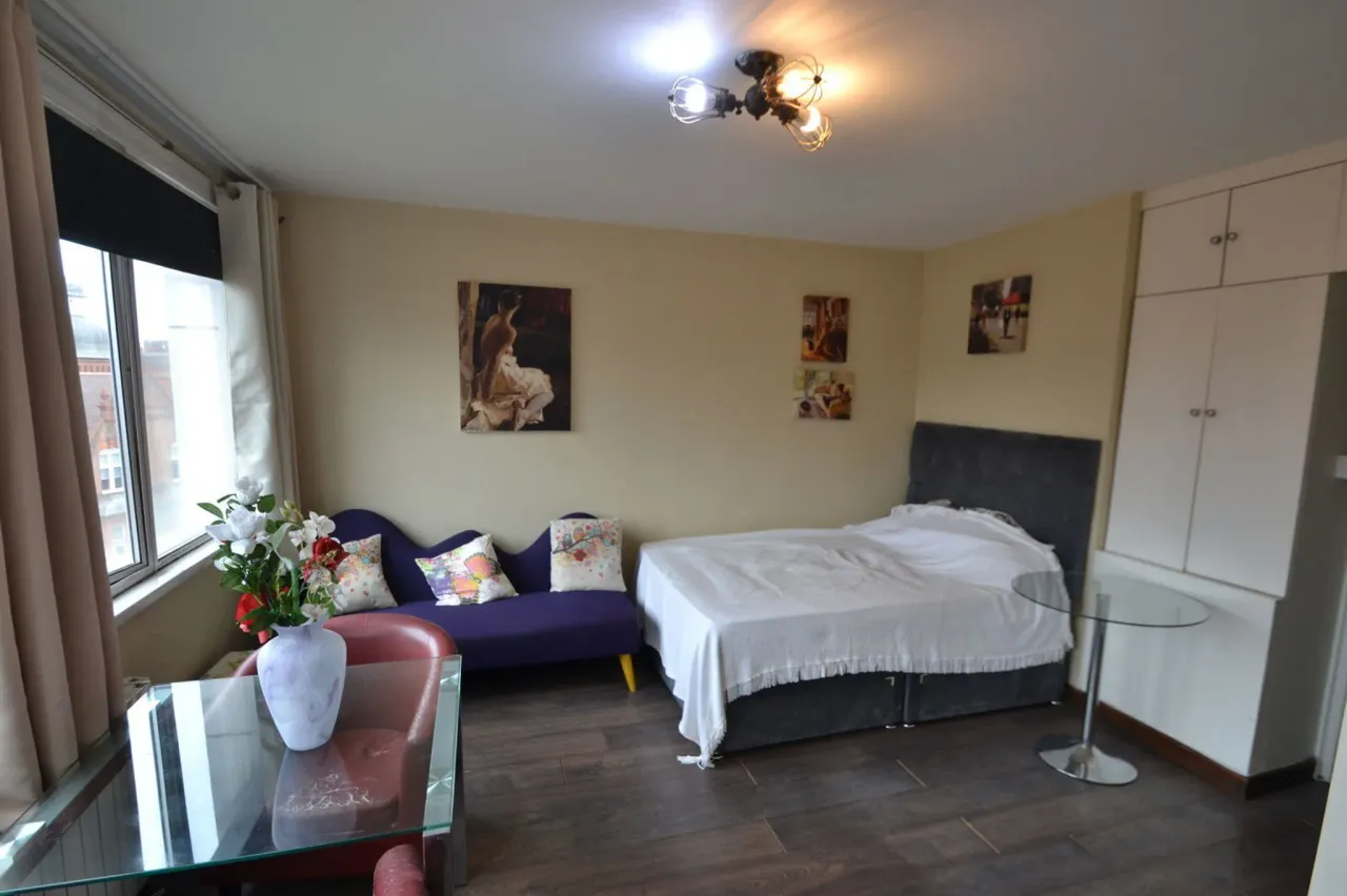 Lower Sloane Street, London, SW1W 8DD, photo 7