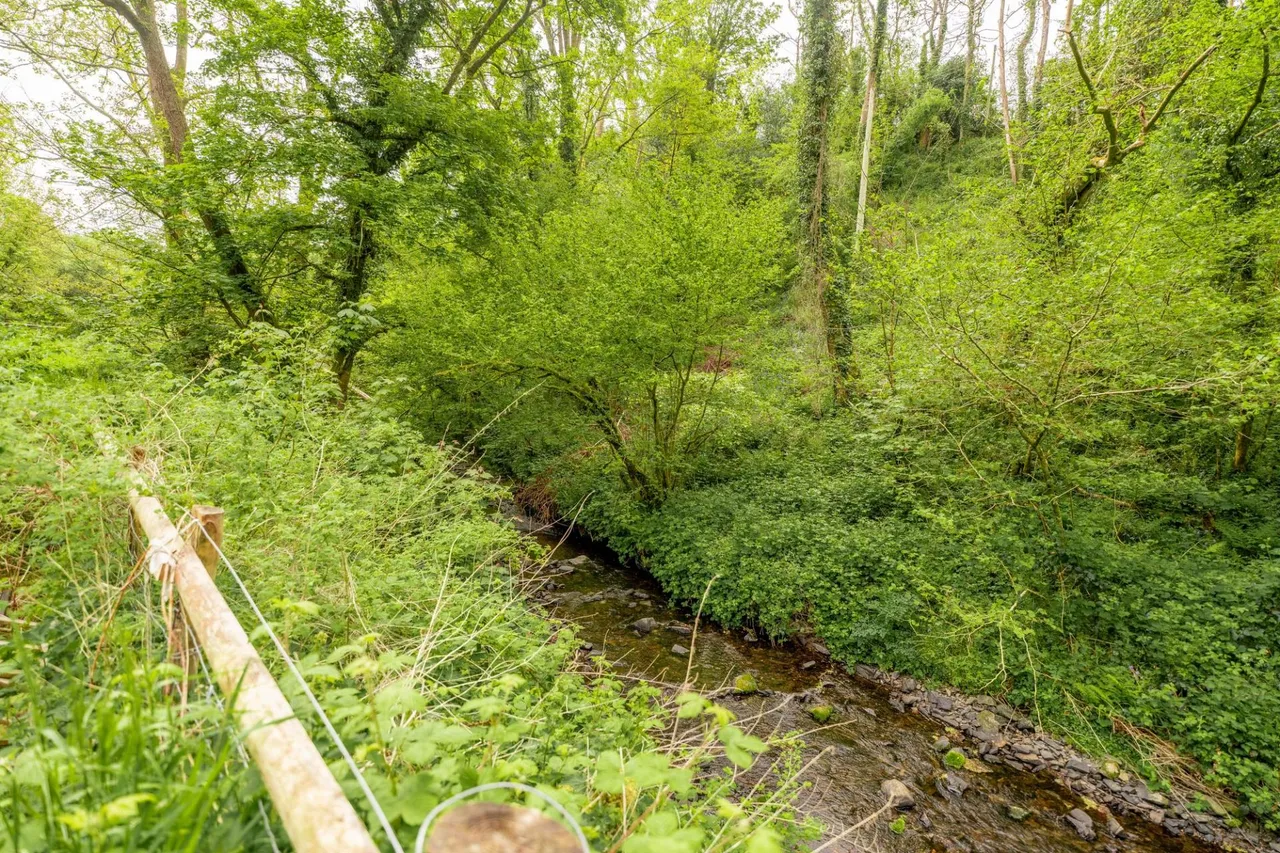 Llwyndafydd, Llandysul, SA44, photo 32