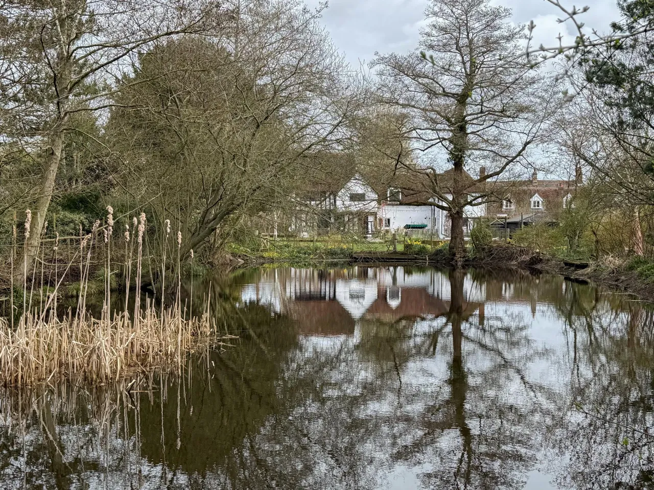 Ford Street, Aldham, photo 4