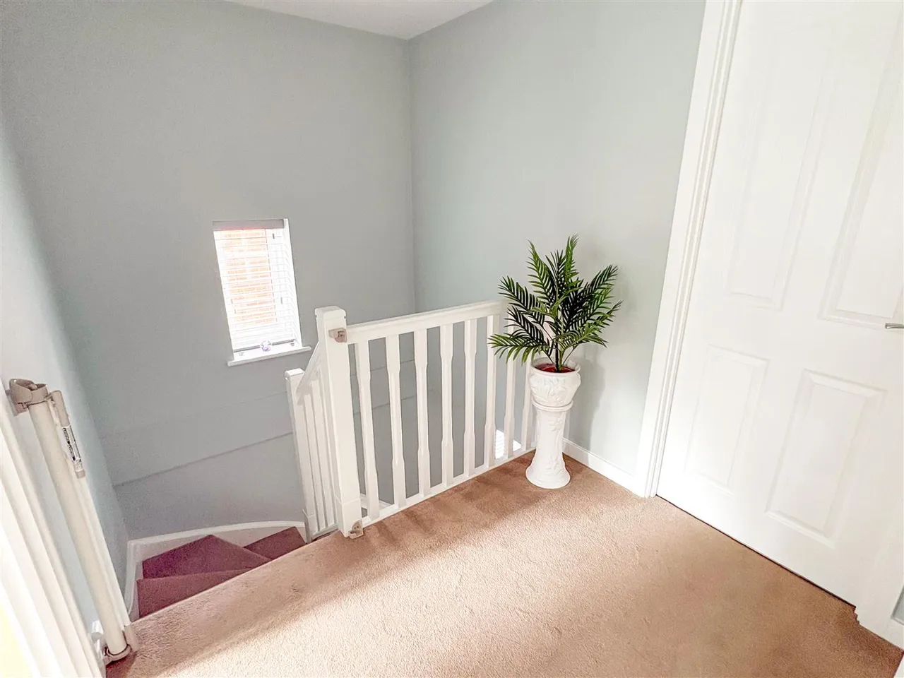 Lobelia Drive, Worthing, photo 17