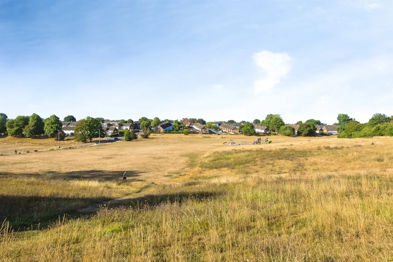 Cherry Orchard, Hemel Hempstead, HP1, photo 2