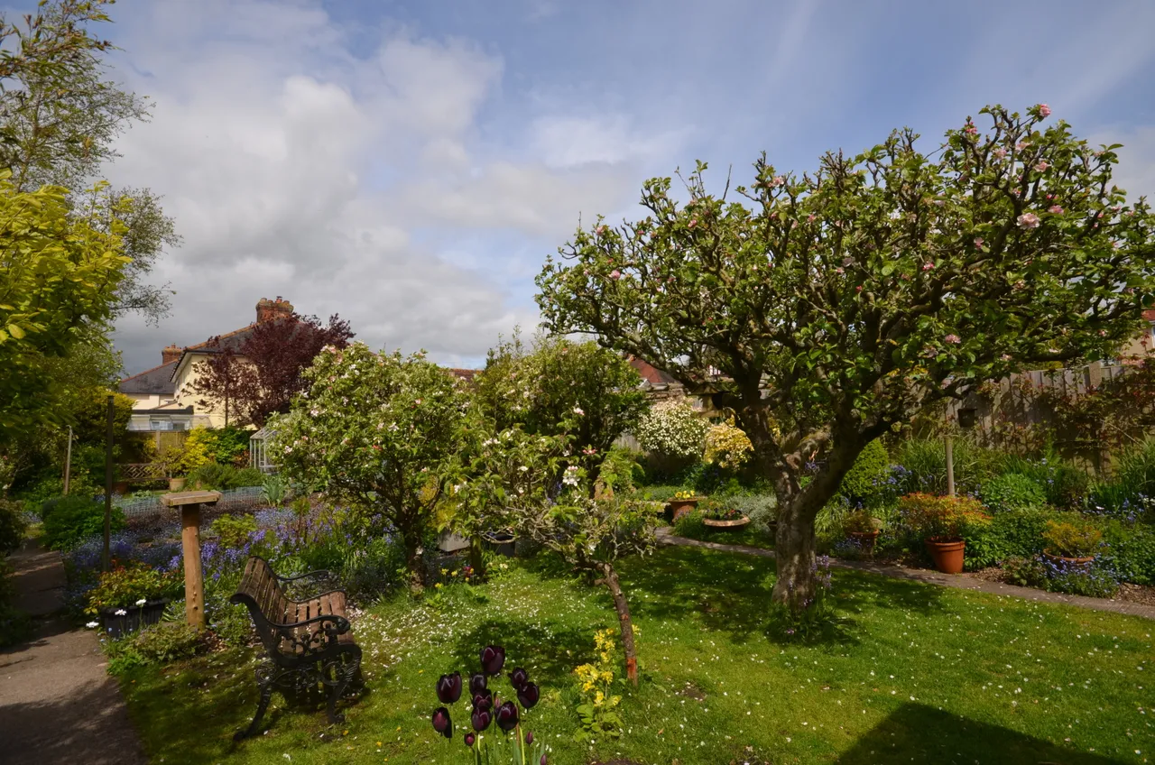 Canadian Avenue, Salisbury, Wiltshire, SP2 7JL, photo 9