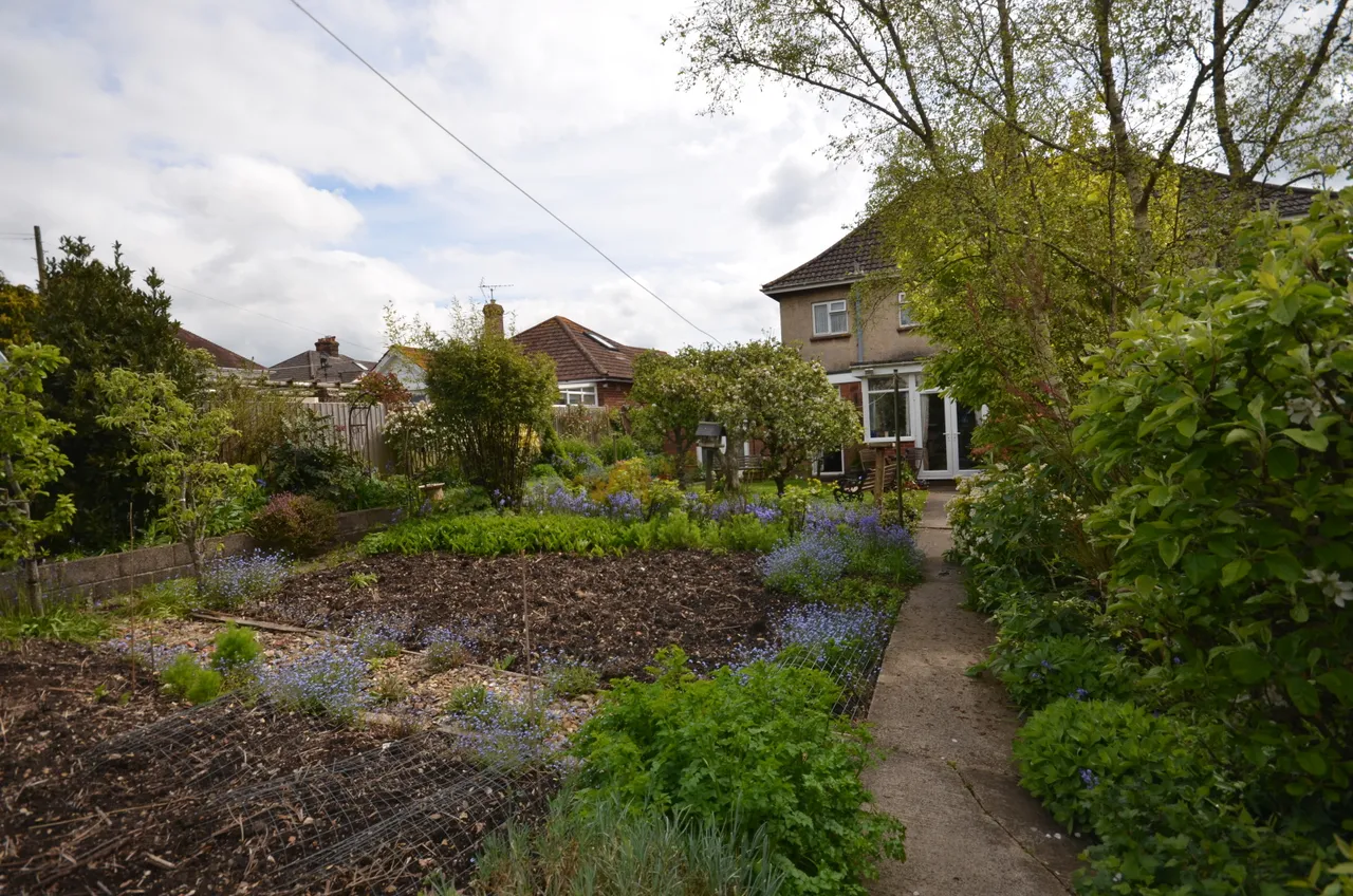 Canadian Avenue, Salisbury, Wiltshire, SP2 7JL, photo 13