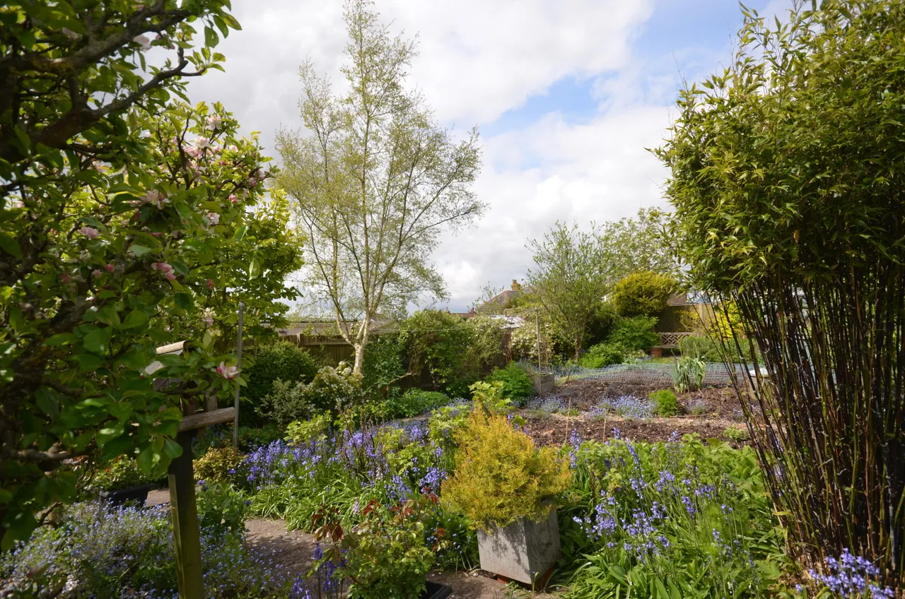Canadian Avenue, Salisbury, Wiltshire, SP2 7JL, photo 10