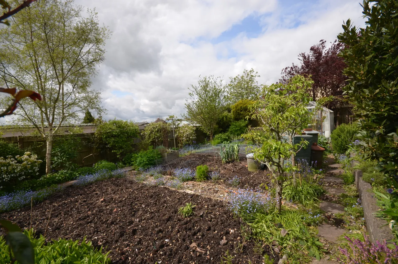 Canadian Avenue, Salisbury, Wiltshire, SP2 7JL, photo 11