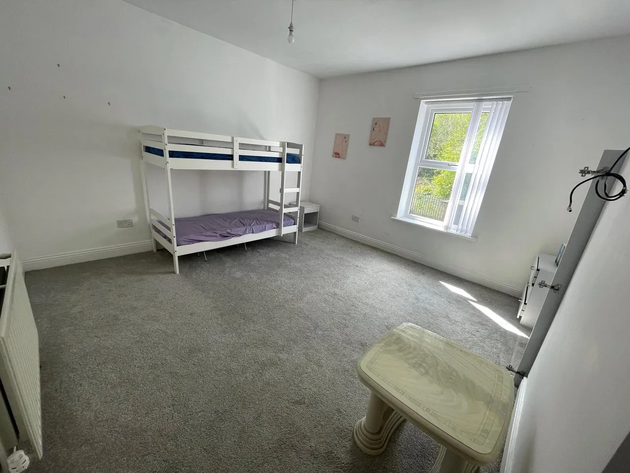 Lime Terrace, Eldon Lane, Bishop Auckland, Durham, DL14, photo 4