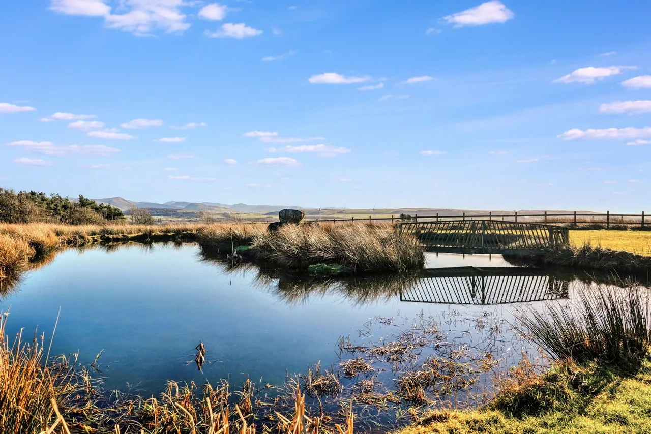 Winscales, Workington, CA14, photo 54