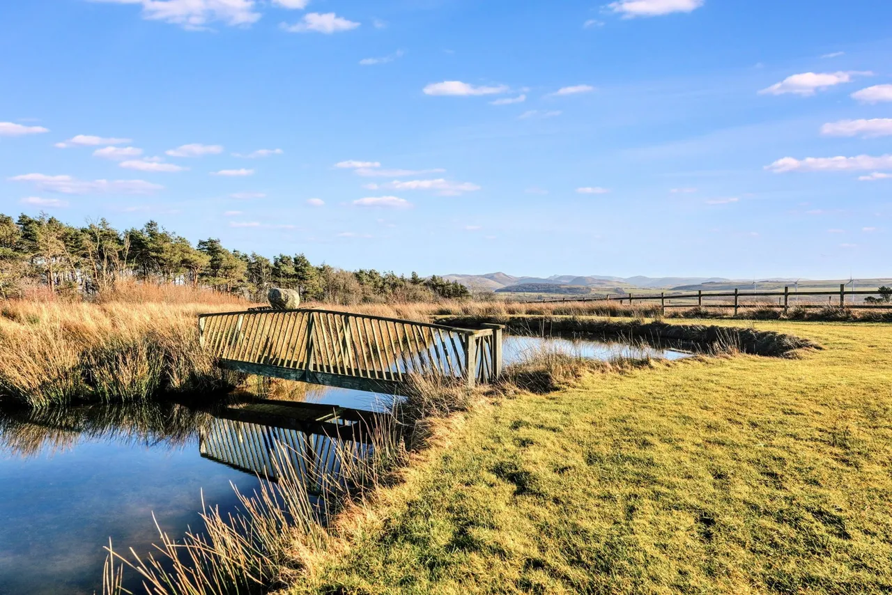 Winscales, Workington, CA14, photo 52