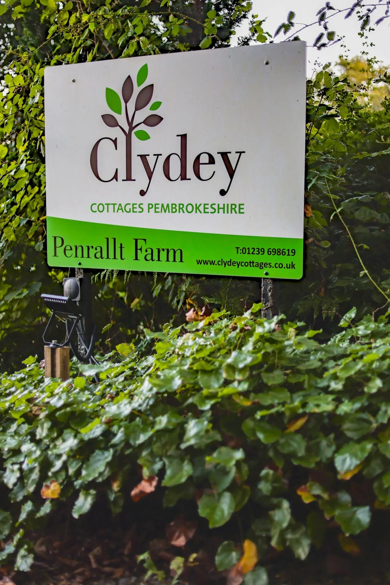 Clydey Cottages, Penrallt, SA37, photo 5