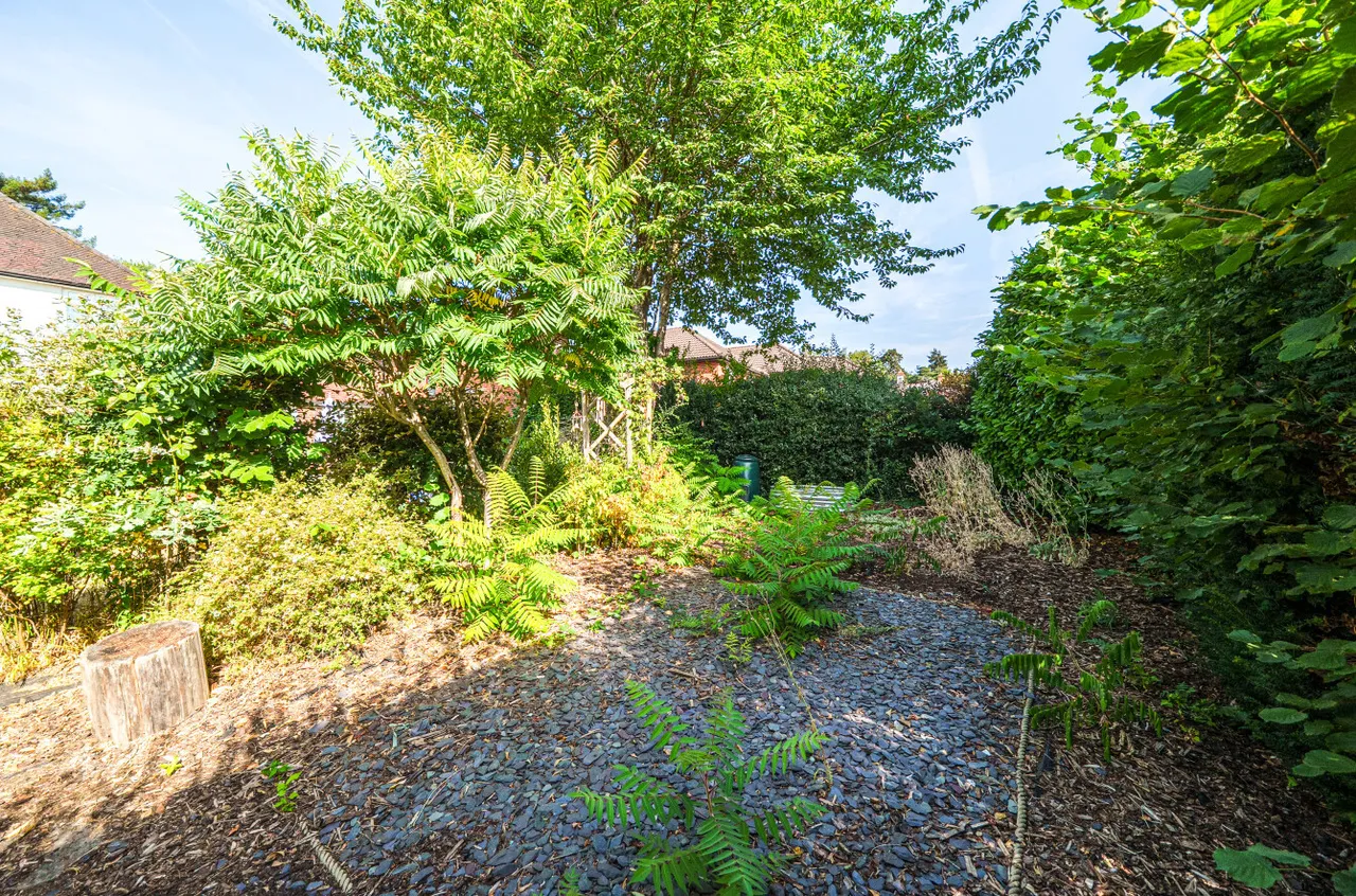 Sandy Lane, Woking, GU22, photo 23