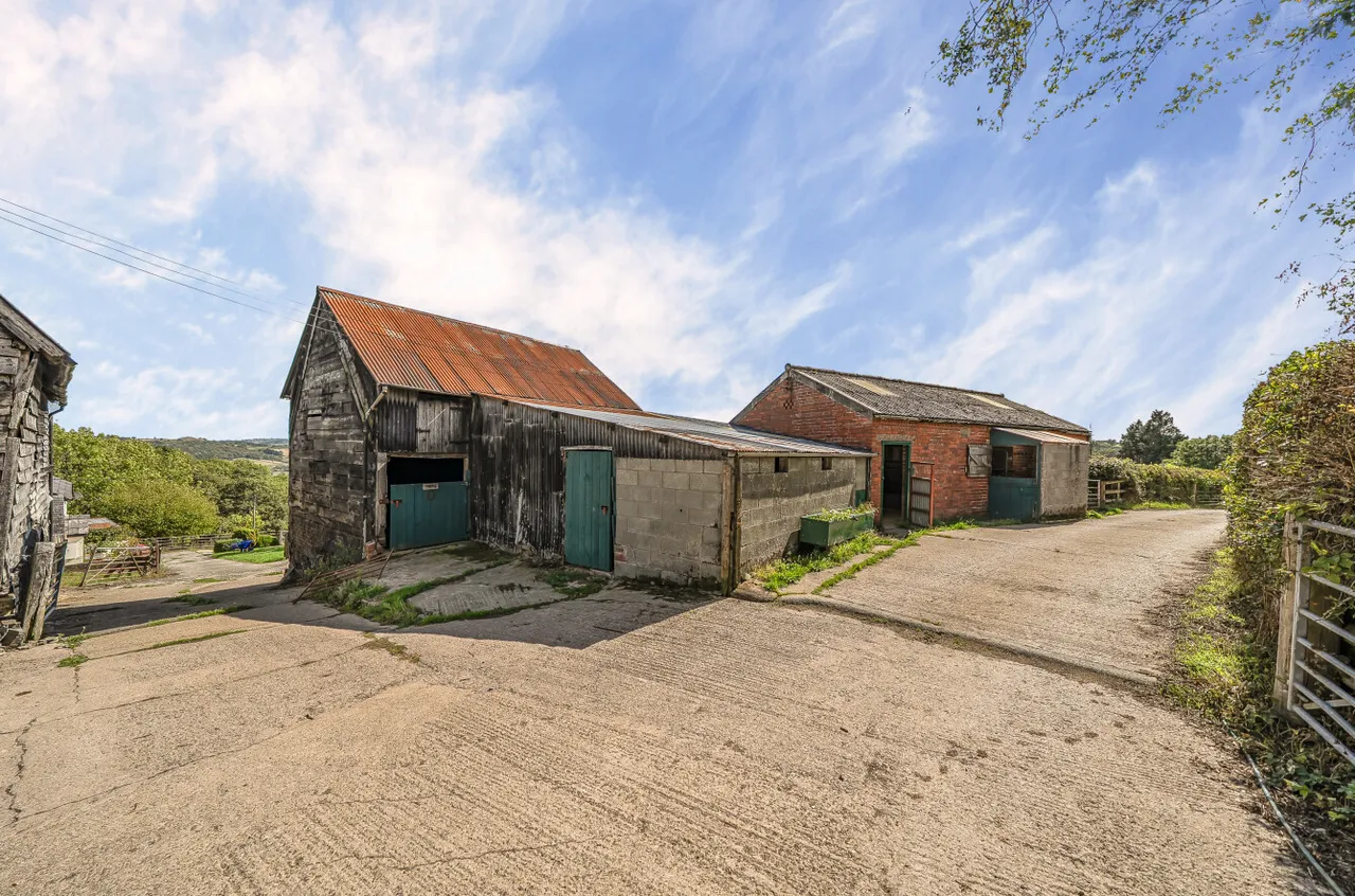 Aberhafesp, Newtown, photo 16