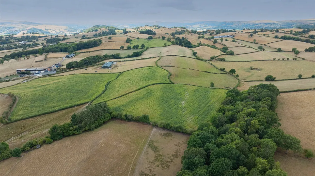 Aberhafesp, Newtown, photo 22