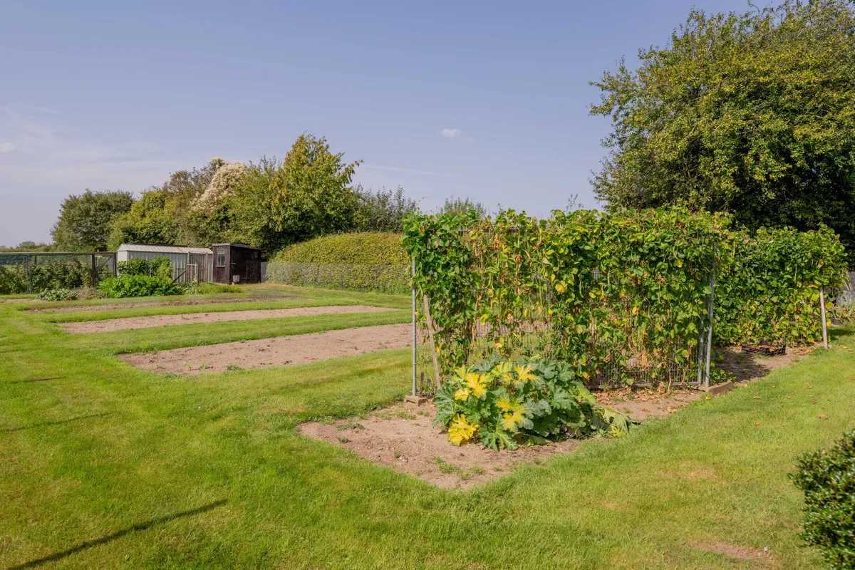 West Acre Road, Swaffham, PE37, photo 20