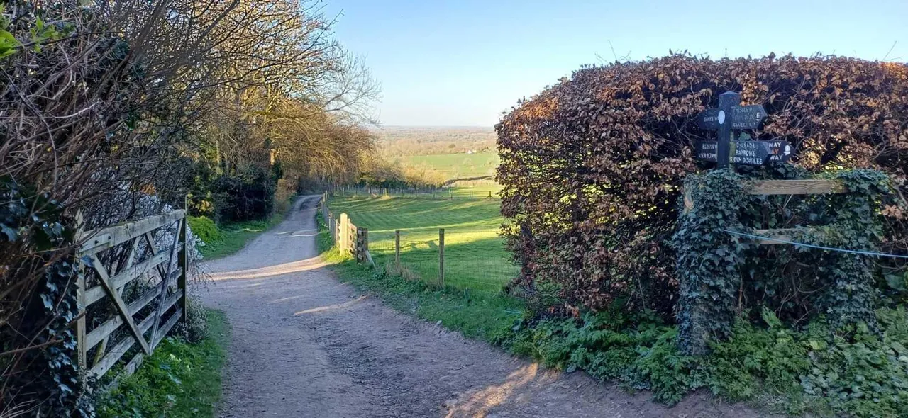 West Lane, Bledlow, HP27, photo 39