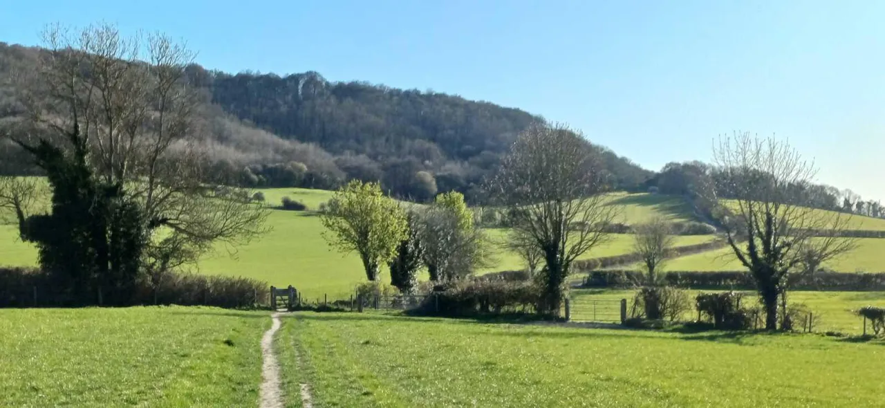 West Lane, Bledlow, HP27, photo 33