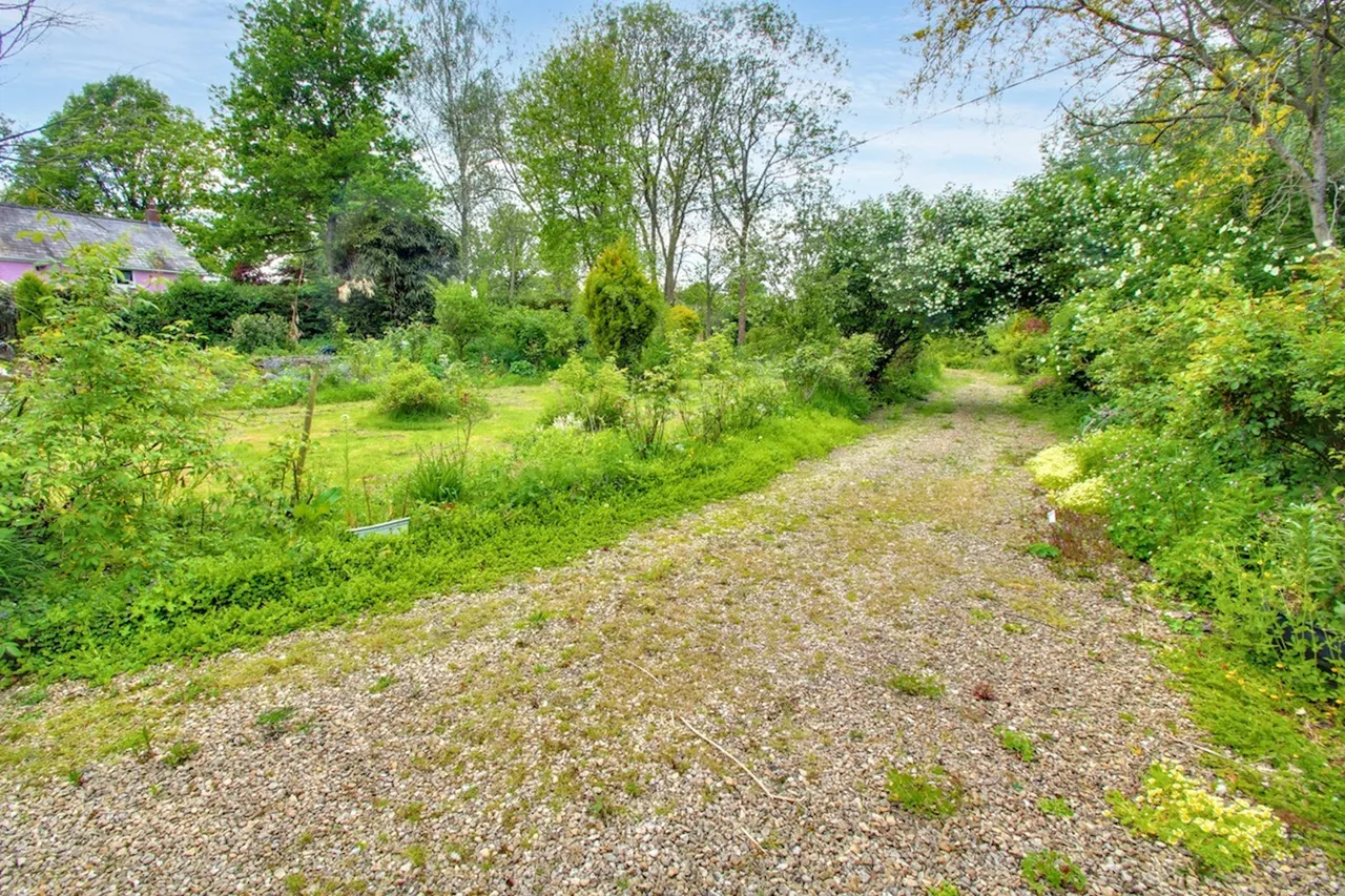 Raglan, Usk, NP15, photo 18