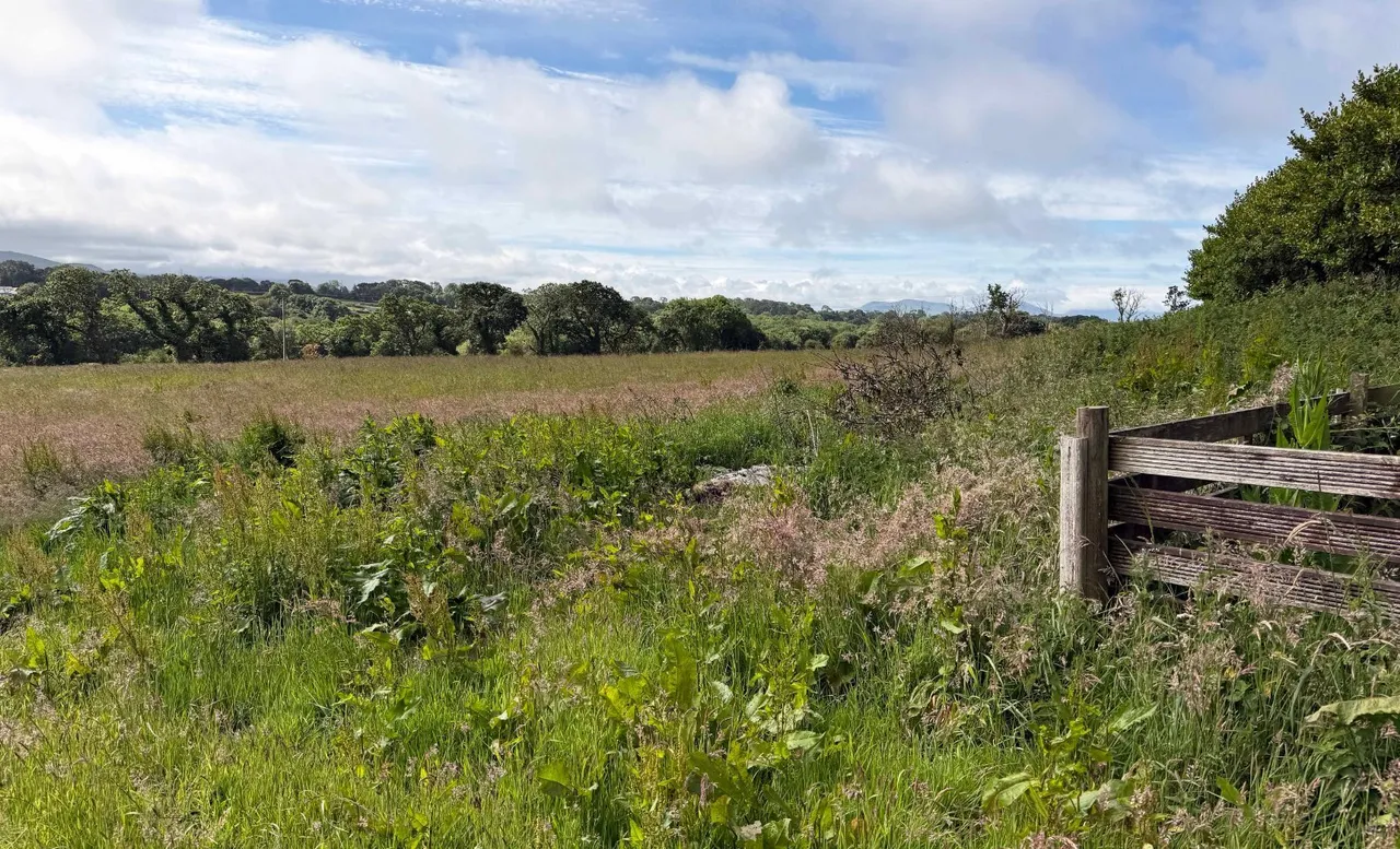 Caeathro, Caernarfon, LL55, photo 4