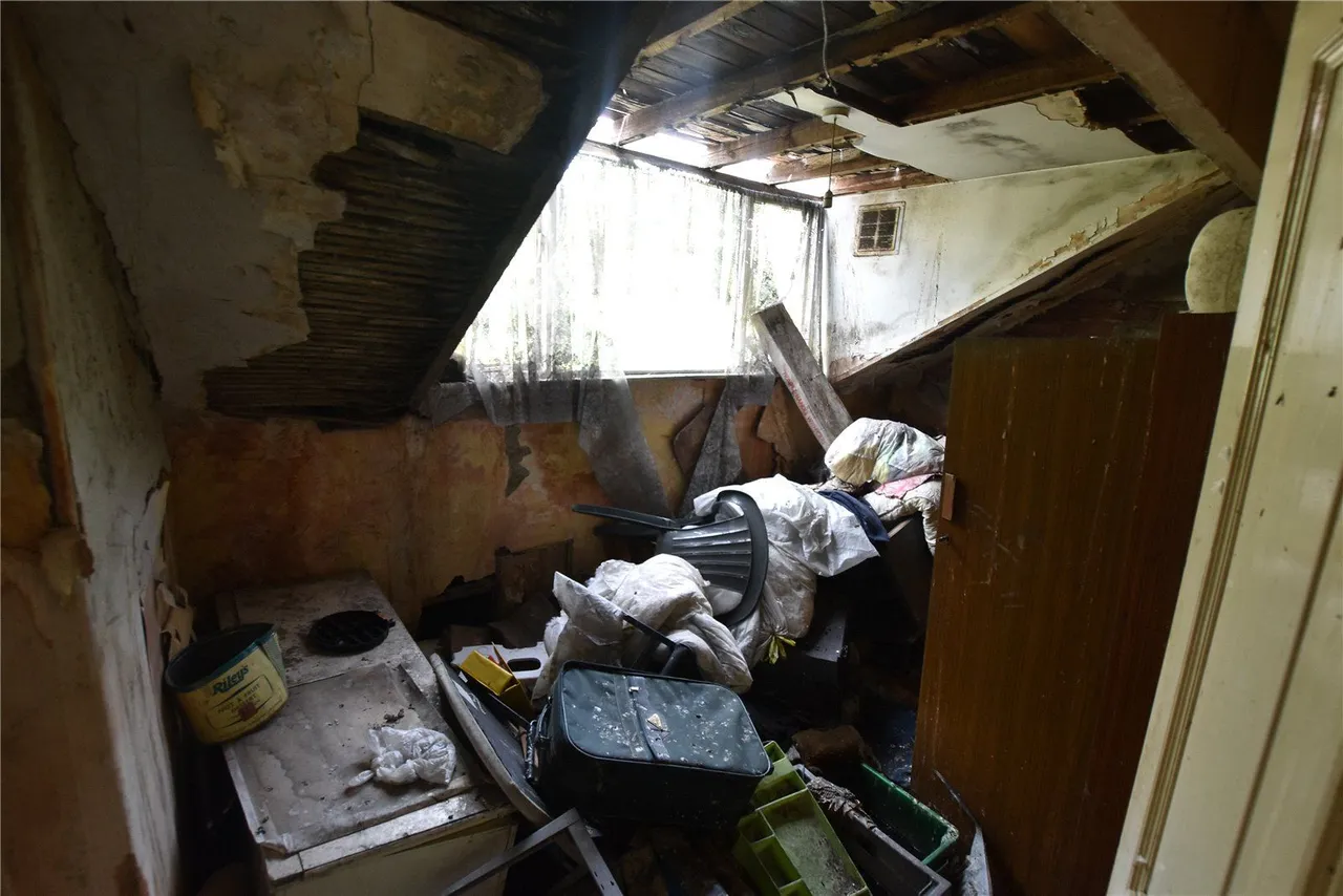 Coldcotes Avenue, Leeds, LS9, photo 9