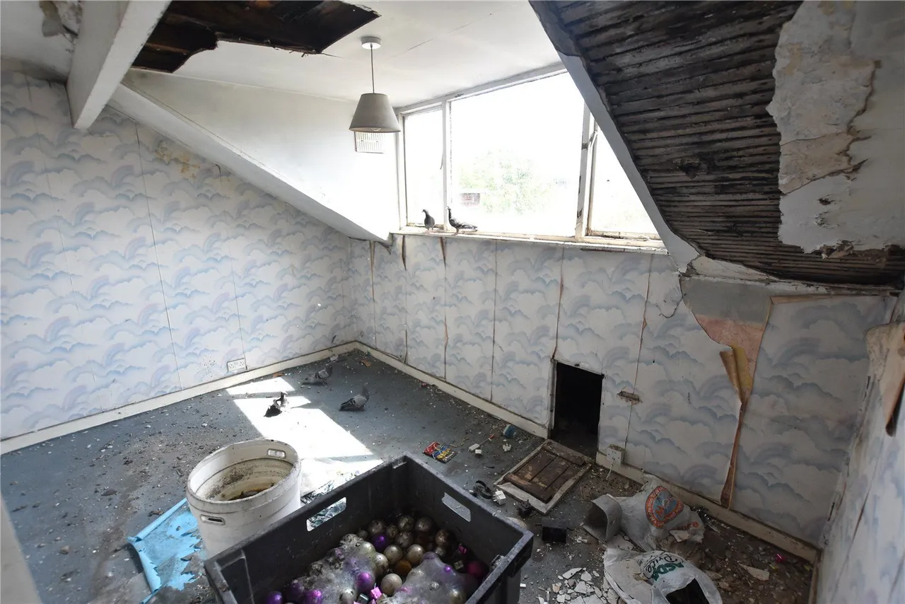Coldcotes Avenue, Leeds, LS9, photo 8