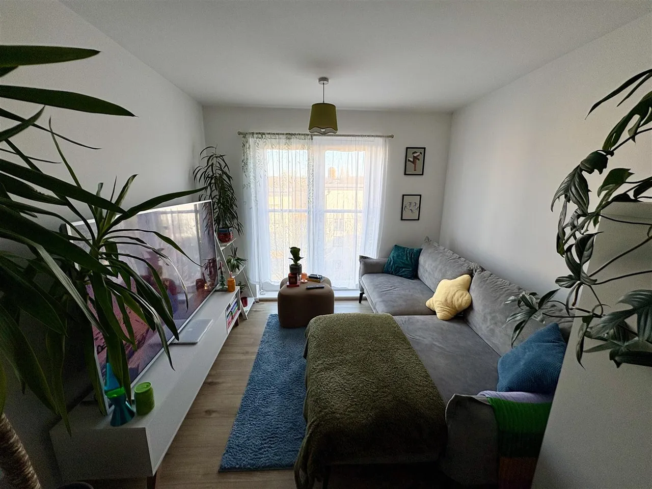 Broughton Lane, New Broughton, M7, photo 8