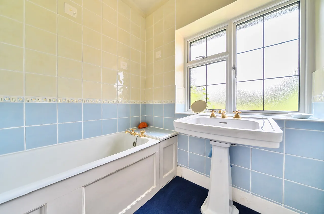 Tekels Avenue, Camberley, Surrey, GU15 2LA, photo 25
