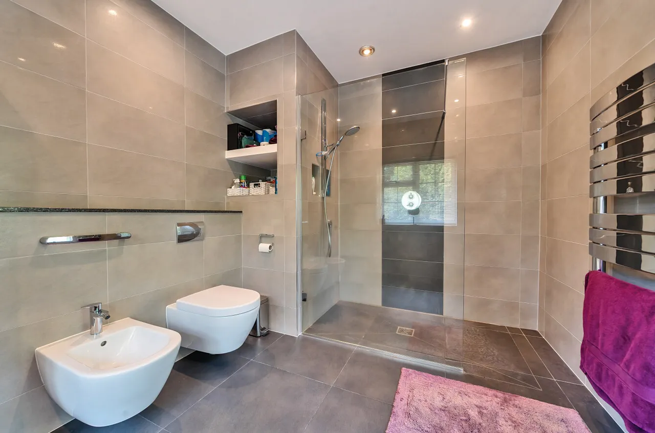 Tekels Avenue, Camberley, Surrey, GU15 2LA, photo 22