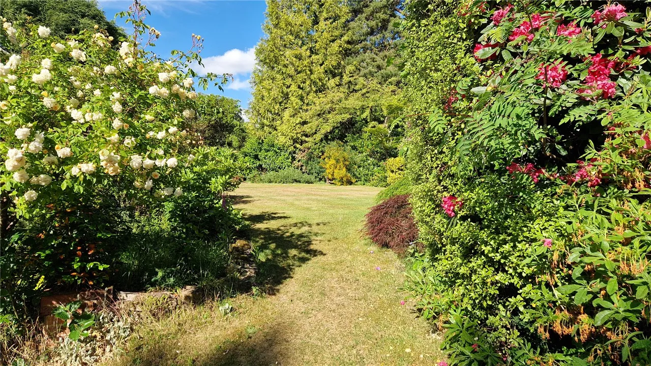 Tekels Avenue, Camberley, Surrey, GU15 2LA, photo 36