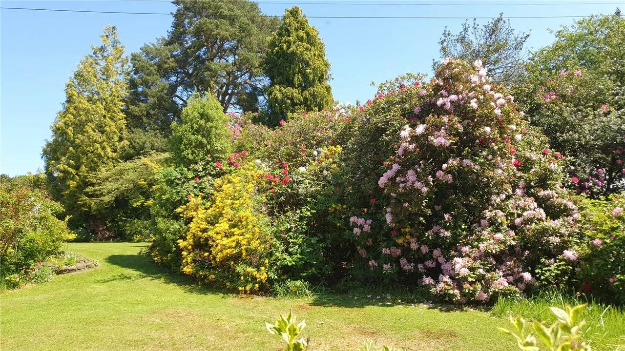 Tekels Avenue, Camberley, Surrey, GU15 2LA, photo 12