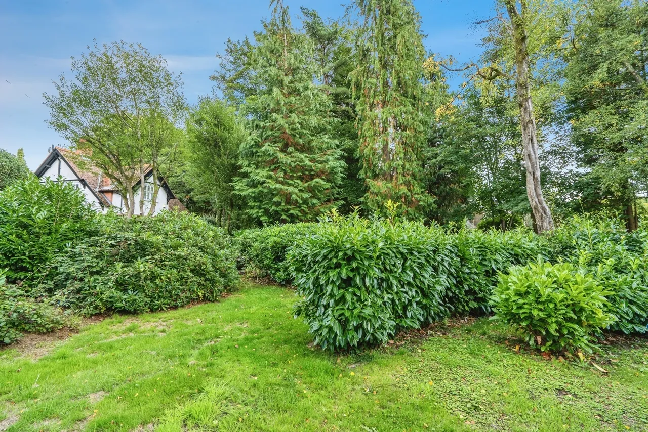Tower Road, Hindhead, GU26, photo 15