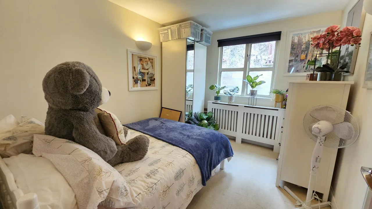 Hotwell Road, BS8, photo 12