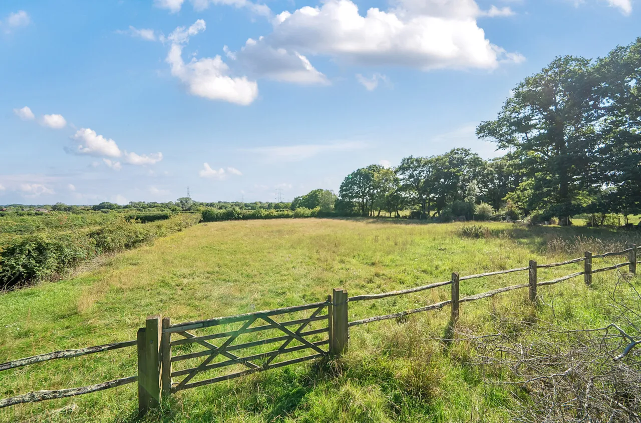 Anmore Road, Denmead, PO7, photo 16