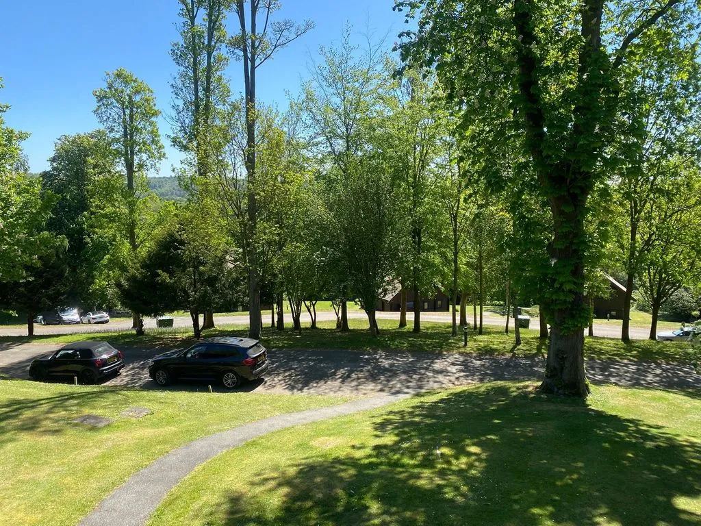 Henley Road, Marlow SL7 2SW, photo 12
