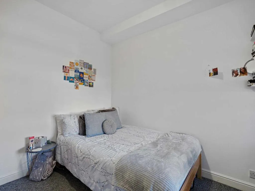 Furness Road, Fallowfield, M14, photo 10