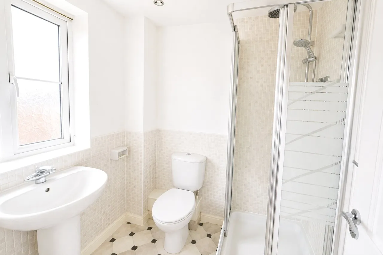 Montreal Avenue, Bristol, BS7 0NJ, photo 10